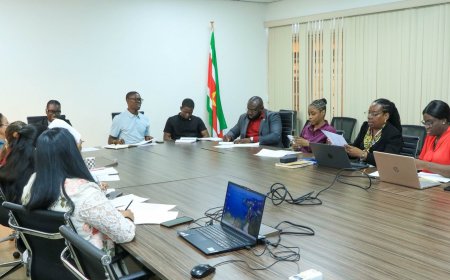 Binnenlandse Zaken wil hbo-opleiding voor ambtenaren versterken