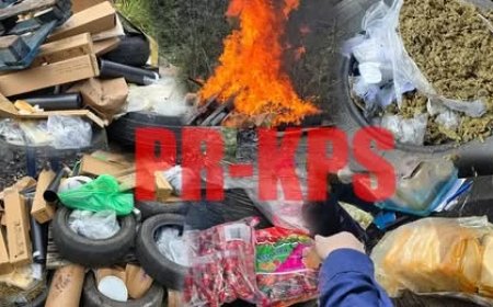 Narcoticabrigade vernietigt grote hoeveelheid drugs in Para