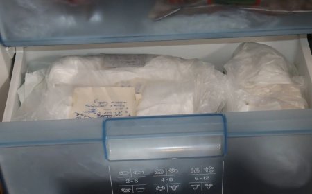 Opmerkelijk – Dierenbescherming Tsjechiê ontdekt ruim 100 dode kittens in vriezer van vrouw