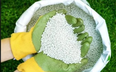 Wereldconflict bedreigt kunstmest en voedselprijzen