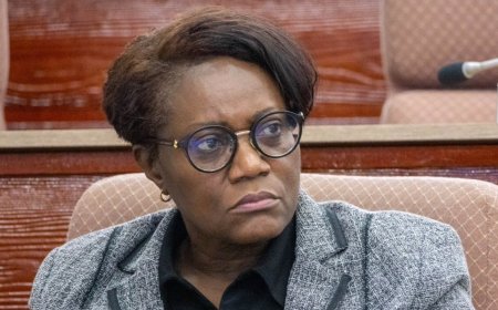 Wijnerman geeft DNA inzicht in staatsobligaties en besteding honderden miljoenen dollars