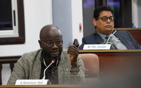 Zoveelste poging in DNA voor openbaarheid van bestuur