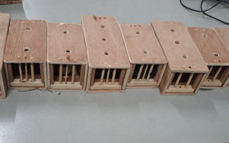 Passagier aangehouden op Zanderij voor poging tot smokkel van beschermde zangvogels