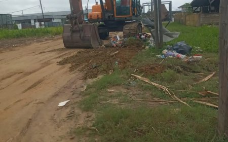 OGA ruimt illegale vuilstort langs Schmeltzweg op