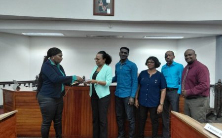 SVJ en E-Government plaatsen kanttekeningen bij Wet Openbaarheid van Bestuur