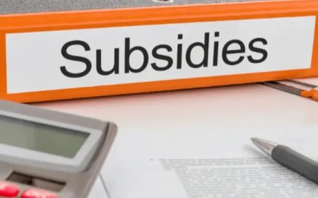 Sociale instellingen in crisis door trage subsidies overheid