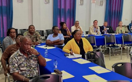 Pride Alliance sluit af: ‘Vooruitgang zichtbaar, maar strijd om acceptatie blijft’