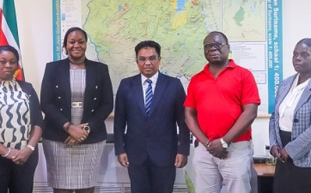 RO en LVV bundelen krachten voor hooglandrijst in binnenland