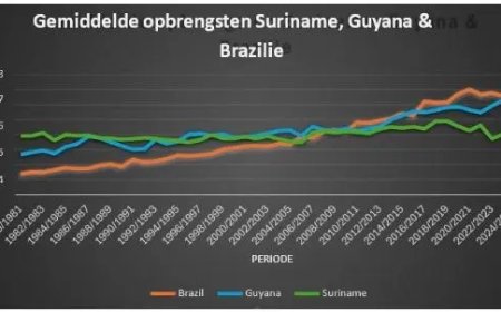 Surinaamse rijstsector moet snel veranderen om te overleven