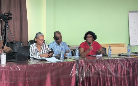 SVJ wil journalistiek versterken met accreditatie en zelfregulering