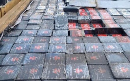 Nederlandse justitie onderschept ruim 3200 kilo coke