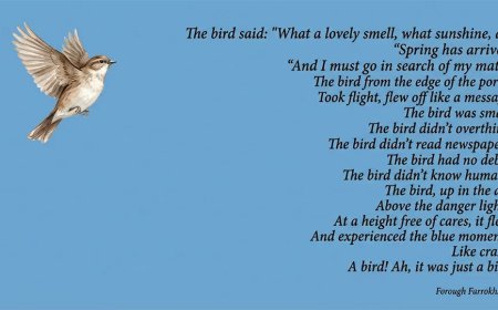 Column: De vogel en de lente die niet wijkt