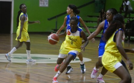 Basketbalsters Yellow Birds delen eerste tik uit in thriller