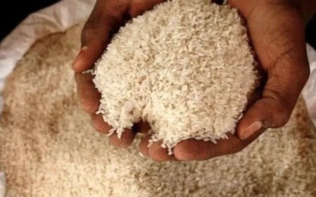 Waarom de lokale prijs van witte rijst hoger ligt dan de exportprijs  