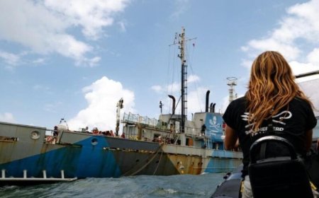 Fransen jagen op illegale Surinaamse vissers