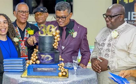 Luchthavenbeheer mikt op groei: 1 miljoen reizigers en nieuwe terminal