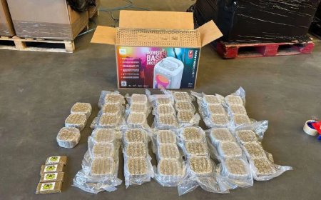 Douna onderschept zo’n 20 kilo hasj in haven Vlissingen voor Suriname