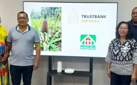 Eerste ananastelers krijgen lening voor opschaling productie