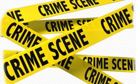 Bewaker vastgebonden na gewapende overval