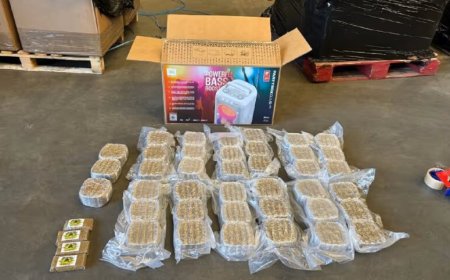 Hasjzending bestemd voor Suriname onderschept in Vlissingen