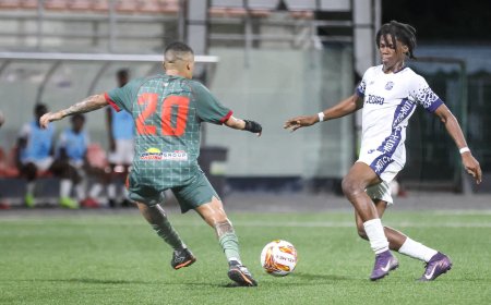 Robinhood verpest iPhone-feestje Notch