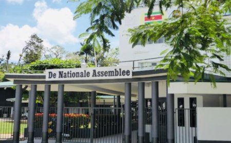 DNA stelt commissie in voor onderzoek ex-ministers