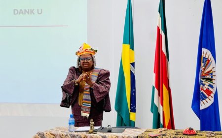 Elviera Sandie: ‘De plantage is voor ons allemaal – er moet altijd een veilige haven zijn voo