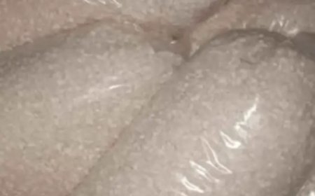 Hoogland rijst, erfgoed en toekomst in één korrel