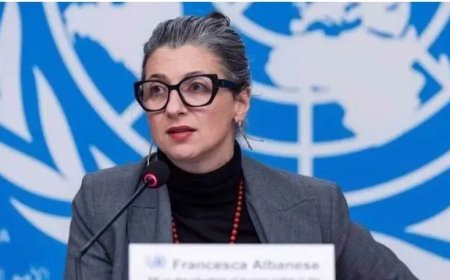 VN-rapporteur beschuldigt Israël van systematische marteling Palestijnen