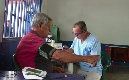 Colombia roept noodtoestand uit vanwege gele koorts: 34 doden