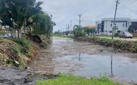 Aanpak overmatige begroeiing in lozingen Verdistraat van start