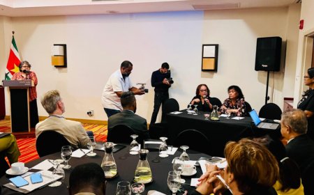 Grote opkomst bij themadag over huiselijk en gendergerelateerd geweld