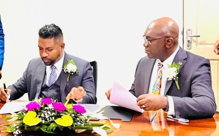 BESCHOUWING — De oude koeien van Harish Monorath