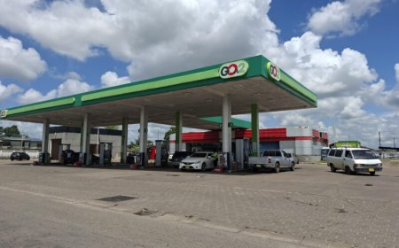 “Price cap brandstof nodig, maar niet onbeperkt houdbaar”