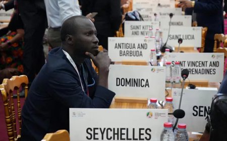 WTO-chef: wereldorde is onherroepelijk veranderd