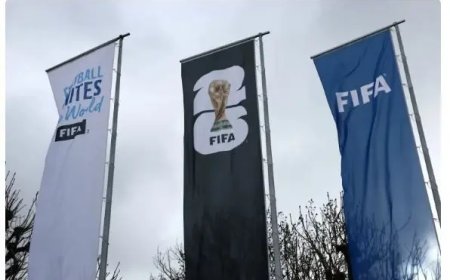 Palestijnse bond eist schorsing Israël na FIFA-rapport