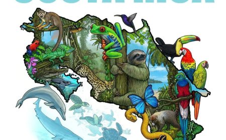 Costa Rica sluit ambassade in Cuba na kritiek op regime