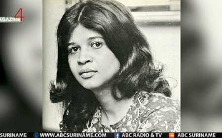 Onderzoek naar Bea Vianen gepresenteerd