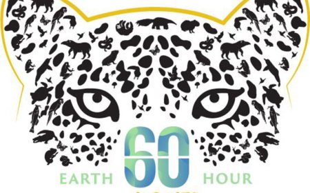 Earth Hour 2026 in Suriname in teken van natuurbescherming en wildlife