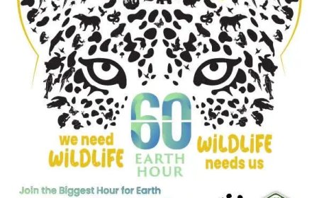 Earth Hour 2026: één uur licht uit en focus op bescherming natuur en haar dieren