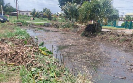 Lozingen Verdistraat worden opgeschoond