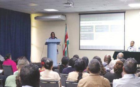 Symposium roept op tot Taalwet: ‘We dreigen terrein te verliezen’