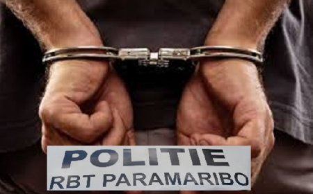 Twee personen aangehouden voor smokkel en economische delicten