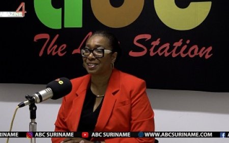 Politiek Suriname moet een juiste keus maken over derde rechtsinstantie