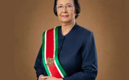 Presidenten Simons en Lula willen sterkere samenwerking en betere verbindingen