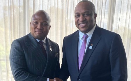 Bouva en Ghanese minister spreken af banden te verdiepen