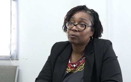 Liever geen Hoge Raad van Nederland als derde rechtsinstantie