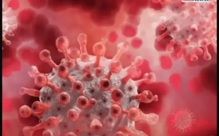 Nieuwe coronavariant BA.3.2 zorgt voor aandacht