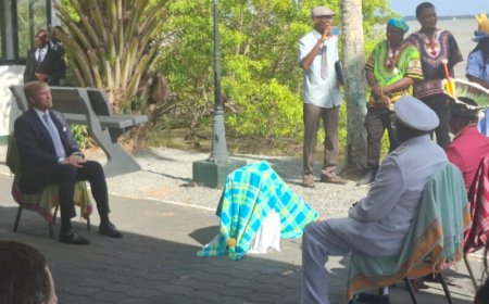 ‘Standpunt Nederland bij slavernijresolutie VN klap in gezicht Suriname’