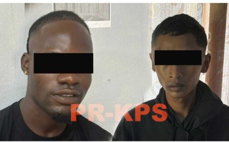 Drie verdachten aangehouden voor bromfietsdiefstal in Livorno